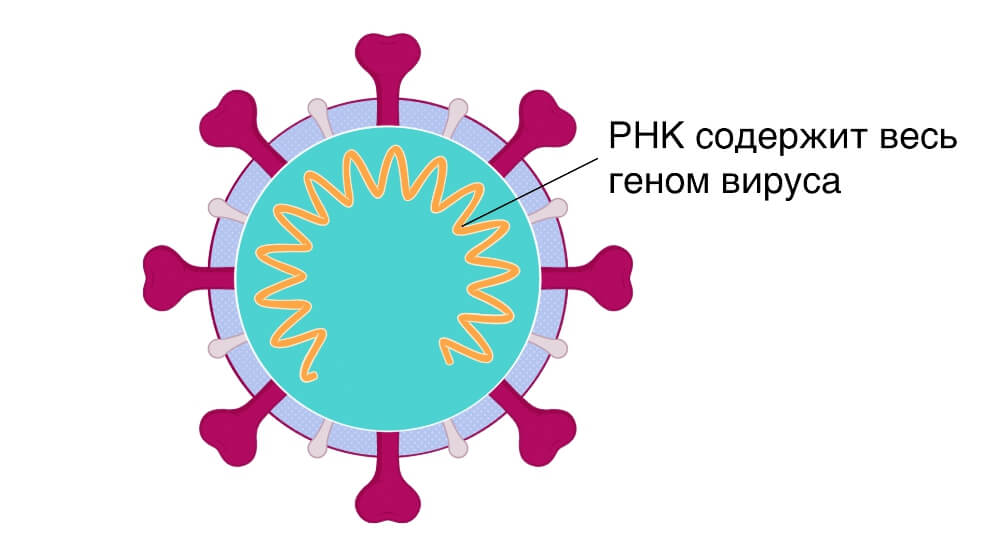 Кракен сайт 2krnk