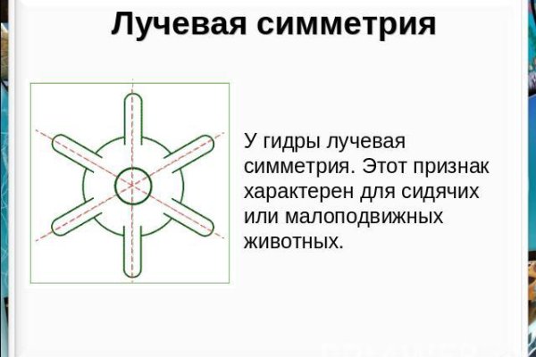 Что продают на кракене