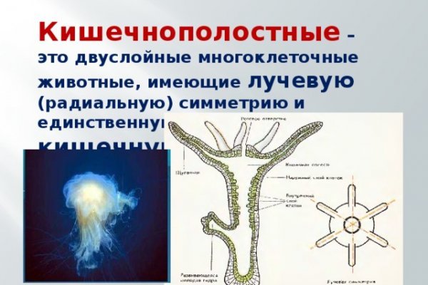 Запрещенный сайт кракен