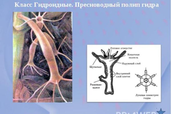 Кракен в россии наркотик