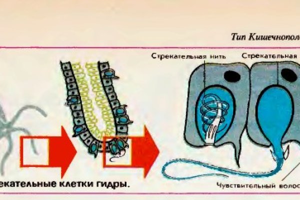Кракен сайт 2krnk
