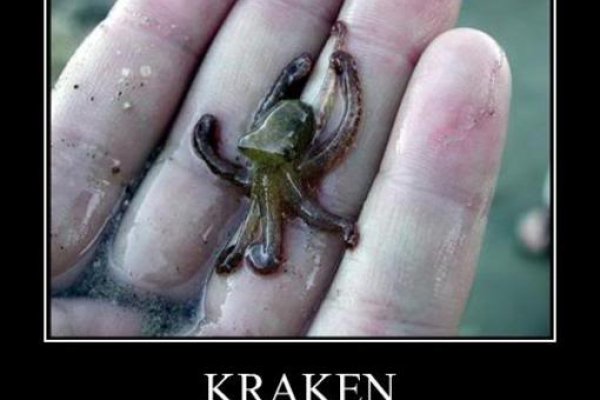 Kraken marketing lab